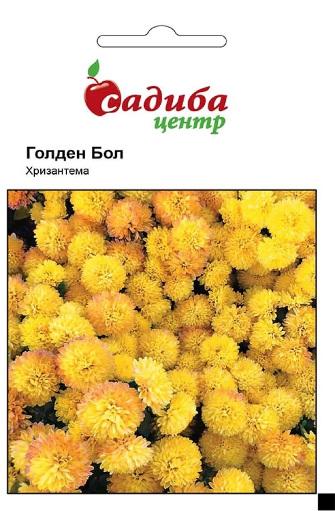 6383615526_hrizantema-golden-bol.webp Хризантема Голден бол 0,1 г. Hem Zaden BV, Нідерланди - Зображення 1