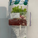 Редис Французький сніданок, 5 г. (Власне фасування з оригінального упакування). - Зображення 2