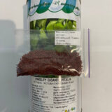 Петрушка листова Італійський гігант, 10 г.(Власне фасування з оригінального упакування),(GSN Semences-Франція). - Зображення 2