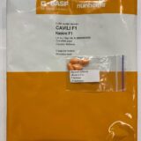 Кабачок Кавілі F1, 5 шт. (Власне фасування з оригінального упакування), (Nunhems). - Зображення 2