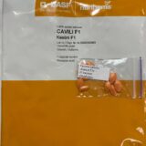 Кабачок Кавілі F1, 10 шт. (Власне фасування з оригінального упакування), (Nunhems). - Зображення 2