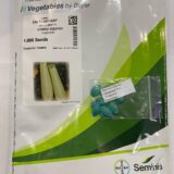 Кабачок Іскандер F1, 10 шт. (Власне фасування з оригінального упакування), (Seminis). - Зображення 2