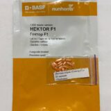 Огірок Гектор F1, 20 шт. (Власне фасування з оригінального упакування), (Nunhems). - Зображення 2