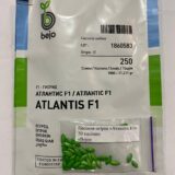 Огірок Атлантіс F1, 50 шт. (Власне фасування з оригінального упакування), (Bejo Zaden). - Зображення 2