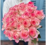 Троянда на штамбі  "Джумілія" - Зображення 2