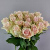 Троянда на штамбі  «Пінк Атена» - Зображення 3