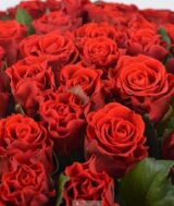 Троянда на штамбі  "El Toro" (Ель Торо) - Зображення 3