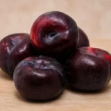 Саджанці сливи "ІНЖИРНА" - Зображення 2