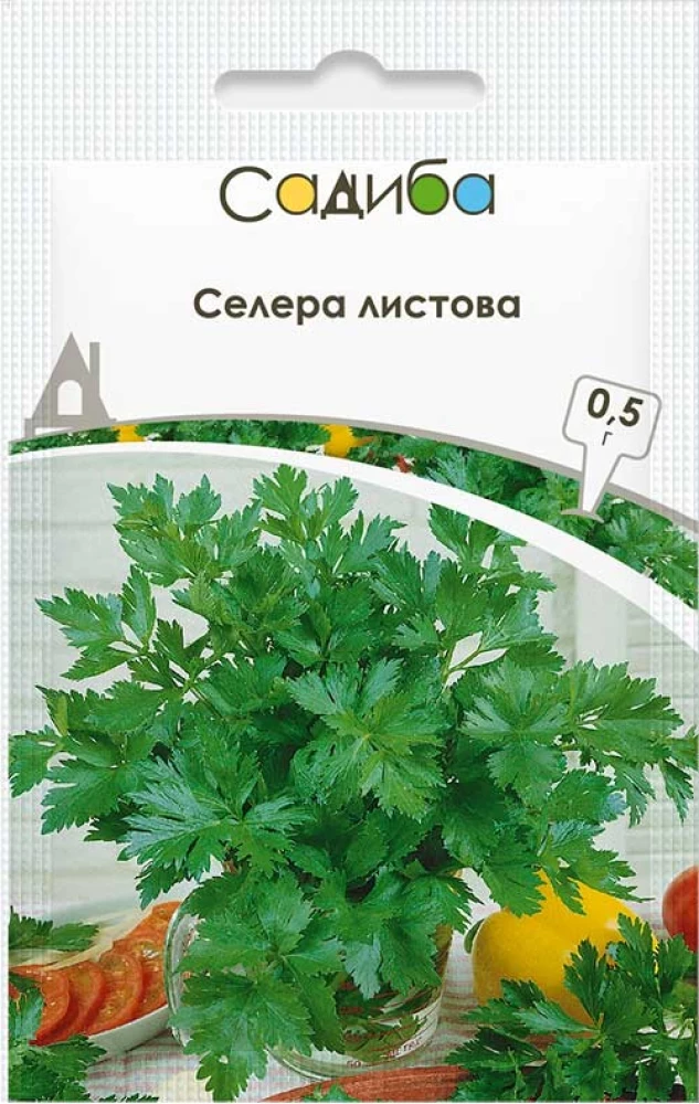 6969497642_selera-listova-05.webp Селера листова, 0,5 г, Hem Zaden (Голландія) - Зображення 1