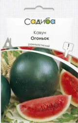 Огоньок насіння кавуна середнього (Укр.) 1 г