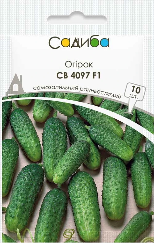 6969768094_ogirok-sv-4097.webp Огірок СВ 4097 ЦВ F1 10 шт - Зображення 1