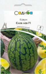 Кавун Єлов лав F1, 5 шт (Clause, Франція)