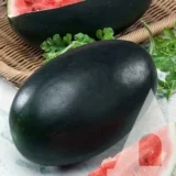 Кавун Фульвія F1, 5 шт (GSN-Semences, Франція) - Зображення 2