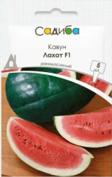 Кавун Лахат F1, 5 шт (Hazera, Нідерланди)