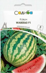 Кавун WA80060 F1, 5 шт (GSN-Semences, Франція)