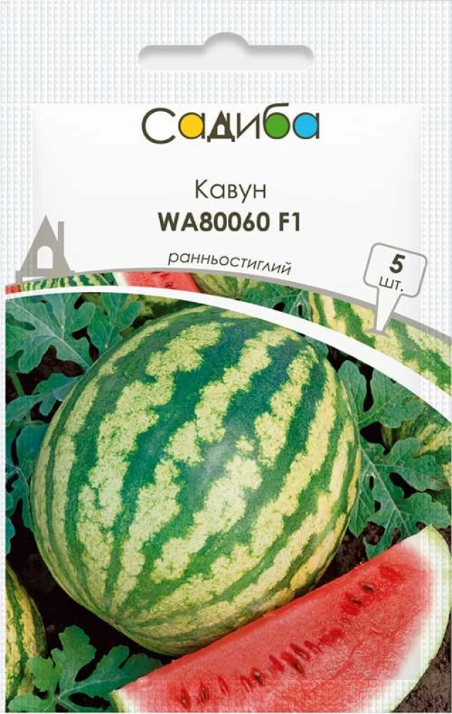 6970081478_kavun-wa80060-f1.webp Кавун WA80060 F1, 5 шт (GSN-Semences, Франція) - Зображення 1