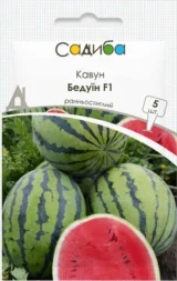 Кавун Бедуїн F1, 5 шт (Bejo Zaden, Нідерланди)