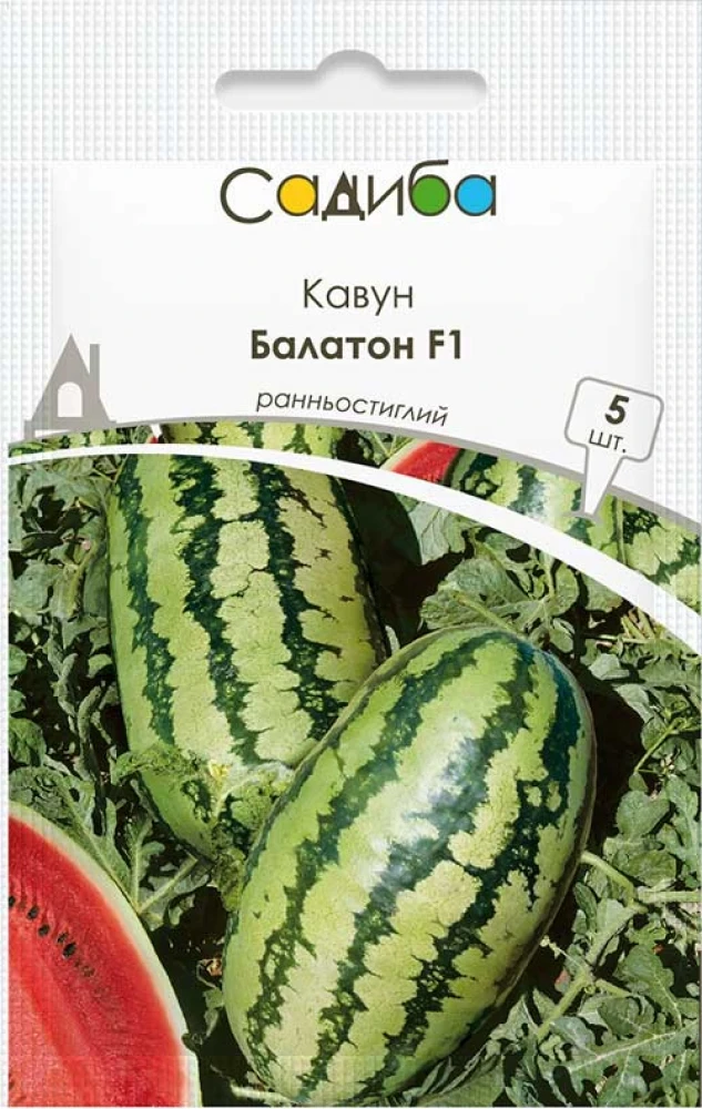 6970095565_kavun-balaton-f1.webp Кавун Балатон F1, 5 шт (Syngenta, Нідерланди) - Зображення 1