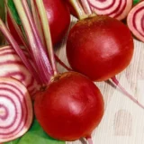 Буряк Кіоджа, 3 г (Suba Seeds, Італія) - Зображення 2