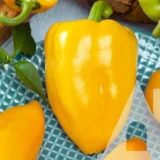 Перець солодкий Кунео, 0.3 г (Suba Seeds, Італія) - Зображення 2