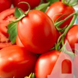 Томат Міцено F1, 15 шт (Syngenta, Нідерланди) - Зображення 2