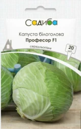 Капуста білоголова Професор F1, 20шт (Syngenta, Нідерланди)