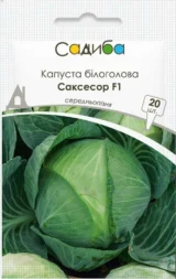 Капуста білоголова Саксесор F1, 20шт (Syngenta, Нідерланди)