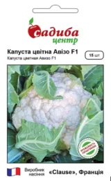 Капуста цвітна Авізо F1, 15 шт (Clause, Франція)