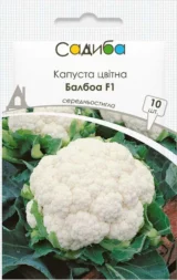 Капуста цвітна Балбоа F1, 10 шт (Bejo Zaden, Нідерланди)