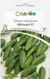Огірок Абсолют F1, 10 шт (Bejo Zaden, Нідерланди)