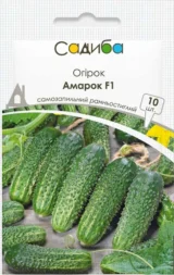 Огірок Амарок F1, 10 шт (Bejo Zaden, Нідерланди)