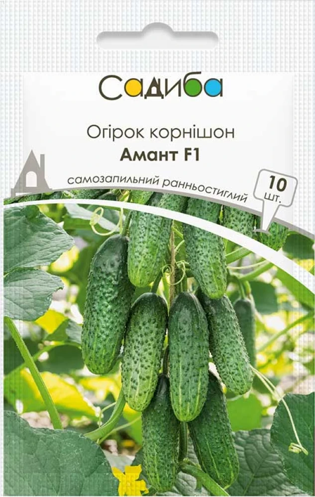 6970289108_ogirok-amant-f1.webp Огірок Амант F1, 10 шт (Bejo Zaden, Нідерланди) - Зображення 1