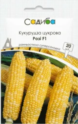 Кукурудза цукрова Розі F1, 20 шт (Clause, Франція)