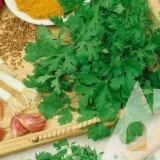 Кінза (коріандр) Американська, 10 г (Suba Seeds, Італія) - Зображення 2