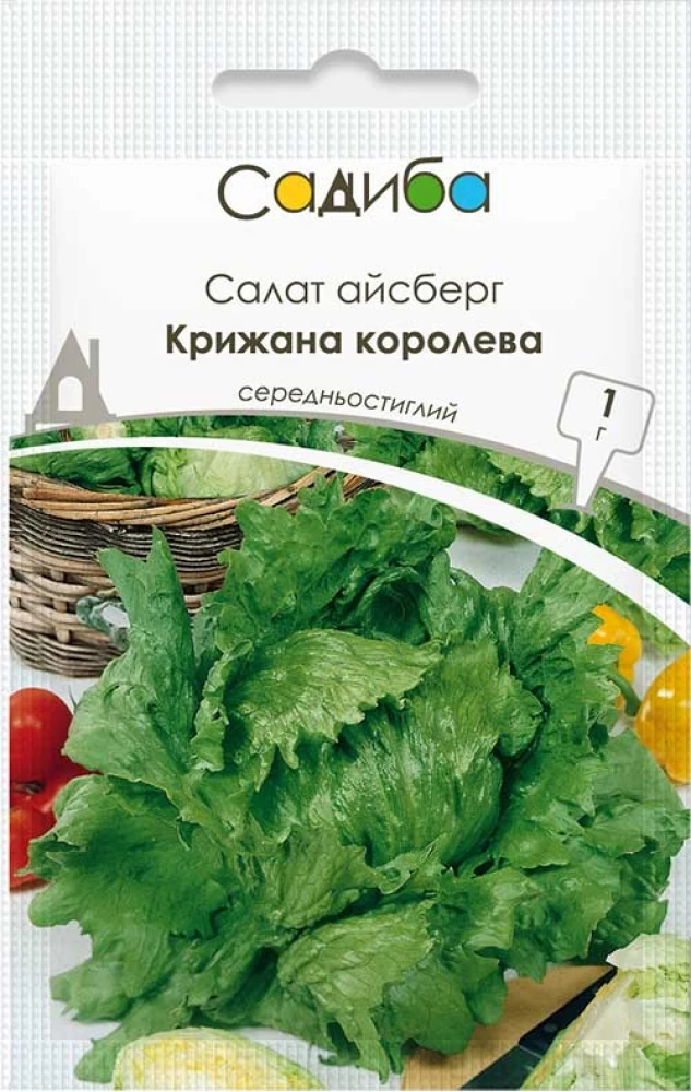 6971605995_salat-ajsberg-krizhana.webp Салат айсберг Крижана королева, 1 г (Suba Seeds, Італія) - Зображення 1