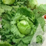 Салат айсберг Далматинський , 1 г (Suba Seeds, Італія) - Зображення 2