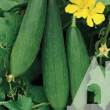 Люфа, 8 шт (Україна) - Зображення 2