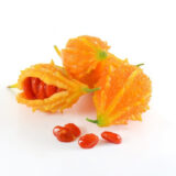 Момордика, 8 шт (Україна) - Зображення 2