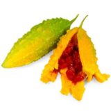 Момордика, 8 шт (Україна) - Зображення 4