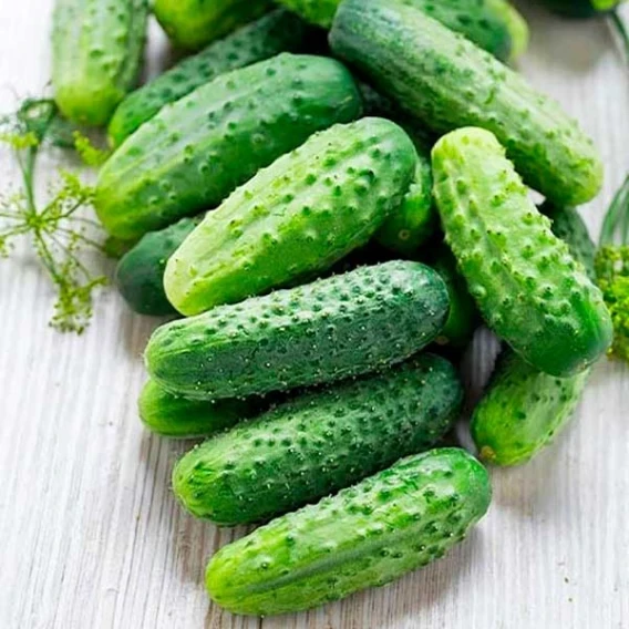 6983098296_ogirok-viskonsin-5.webp Огірок Вісконсін, 5 г (Власне фасування з оригінального упакування), (Україна). - Зображення 1