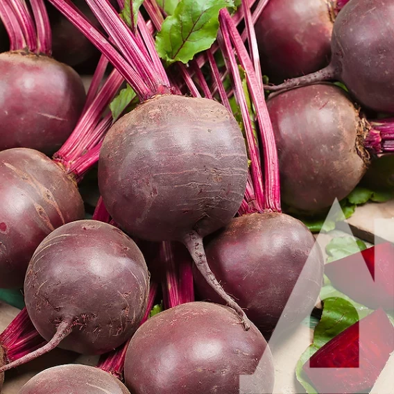 6983258107_buryak-detrojt-3.webp Буряк Детройт, 3 г. (Власне фасування з оригінального упакування), (GSN-Semences). - Зображення 1