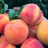 Персик "Ред Хевен" — акційна пропозиція