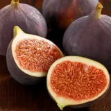 Саджанці інжиру "Руж де Бордо" (0,3-0,5м)