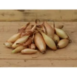 Цибуля сіянка (тиканка) Вольф F1 (8-16мм) 0.5кг - Зображення 2