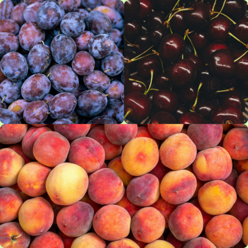 Набір “Міні сад” 3 видів самоплідних сортів (слива "Венгерка італійська", персик "Флемінг", черешня "Скіна")