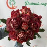 Саджанці троядни "Guinness" (Гіннес)